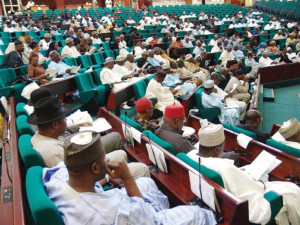 House of Representative Nigeria